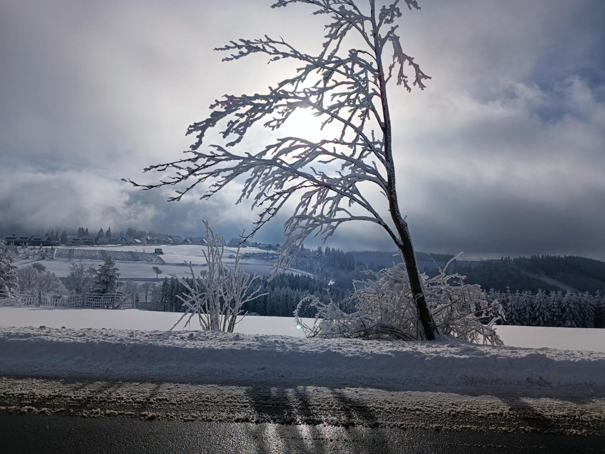 Pension Hubertus Winterberg Dış mekan fotoğraf