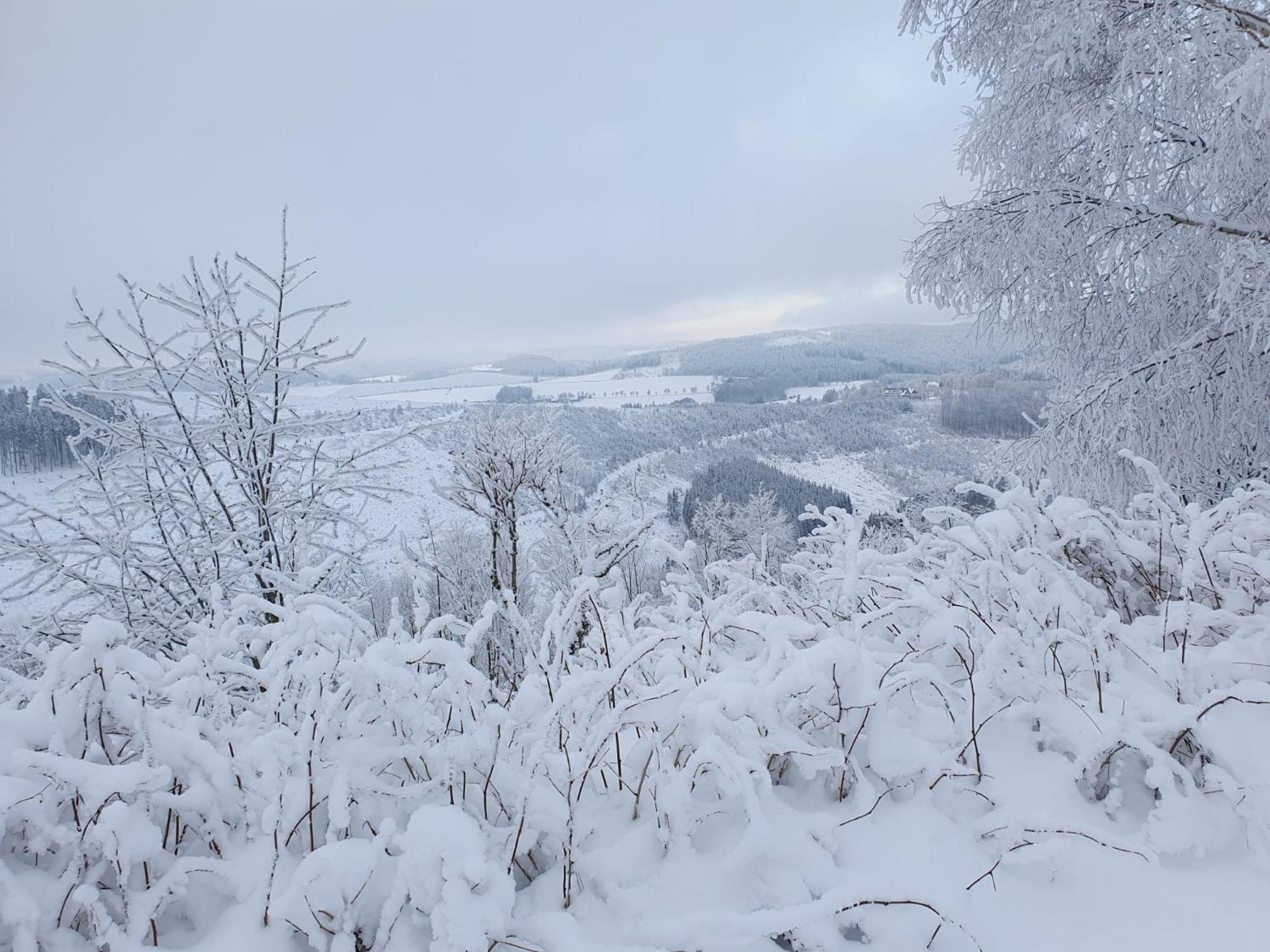 Pension Hubertus Winterberg Dış mekan fotoğraf