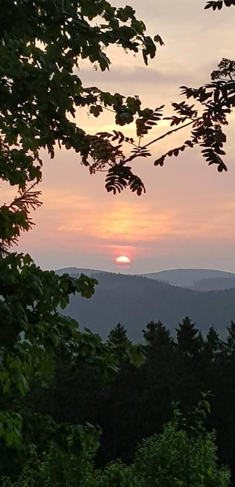 Pension Hubertus Winterberg Dış mekan fotoğraf